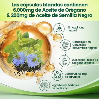 Complejo de Avella y Orégano